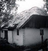 eika image